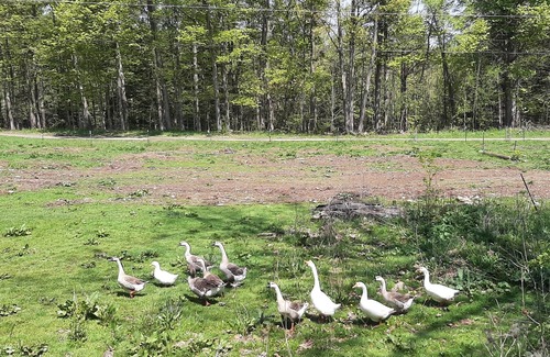 Town of Burns House | RV on Farmstead with Private Spring Fed Pond