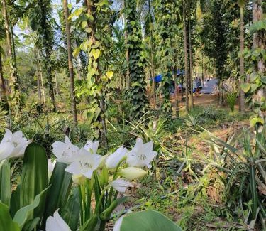South Garo Hills House | SafarnamaStays Homestay & Camping Warichora Meghalaya