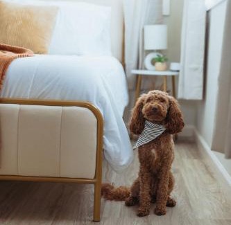 Johnson City Apartment | Sage Haven #6