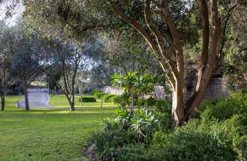 Queenscliff House | Sagres Queenscliff, Designer Oceanfront Escape with Pool & Sauna