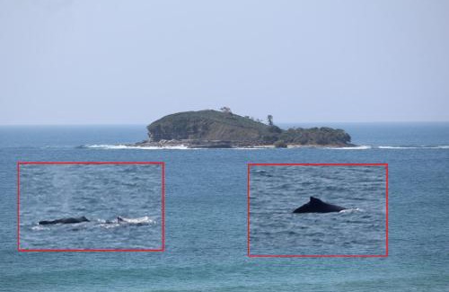 Marcoola Apartment | Salerno On The Beach