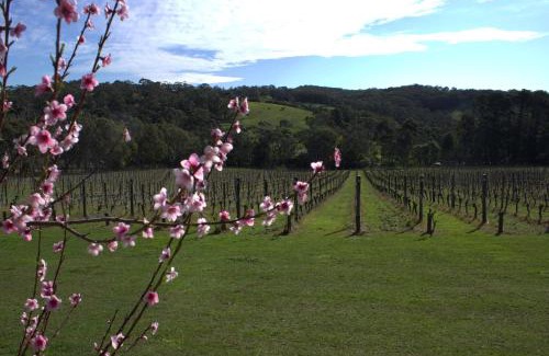 Red Hill House | Sandstone Estate - A Boutique Vineyard Retreat