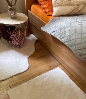 Breze Ski Chalet | SanMari forest