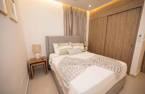 Punal Apartment | Santiago s top Residence, Experience it & Believe it