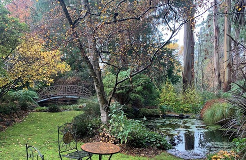 Sassafras House | Sassafras guest house