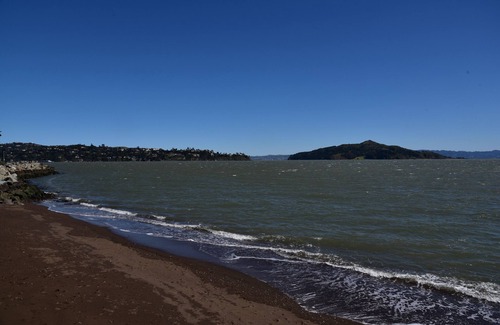 Old Town House | Sausalito Beachfront Cottage