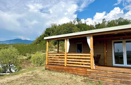 Zalosce House | Saxida 2 BR Bungalow Vineyard/Pool View