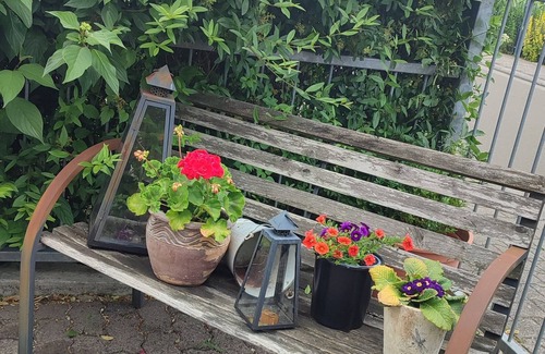 Mainz-Bingen Apartment | Schöne Wohnung Mitten in Rheinhessen