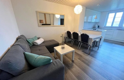 Gansbrunnen Other | Schafmatthof 1 upper floor