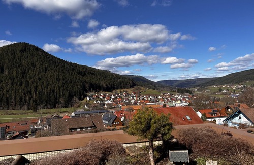 Klosterreichenbach Apartment | Schwarzwaldausblick Baiersbronn - Umweltfreundliche Entspannung mit Schwimmbad