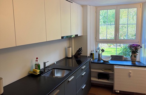 Glarus Sued Apartment | Schweizerhaus Glarus - Historic with charm, ideal for groups and families