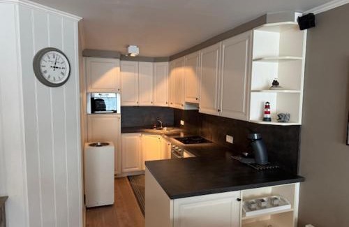 Nieuwpoort-aan-Zee Apartment | Scorpio 0702