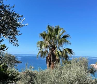 Sveti Stefan Apartment | SEA VIEW APARTMENT