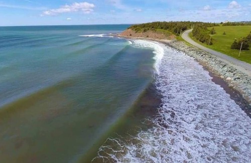 Seaforth Other | Seabreeze Farm House- 5 minute walk to the beach!