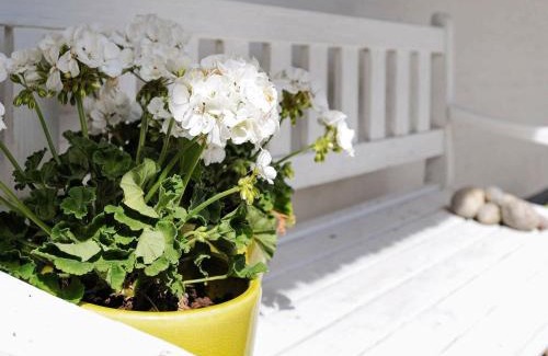 Vedelshave House | Seaside Charm in Baring - By Traum Ferienwohnungen