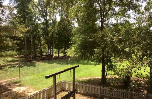 Talisheek Cabin | Secluded 3-bedroom Cabin on Farm