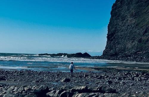 Holsworthy House | Secluded Lodge Escape in Bradworthy North Devon