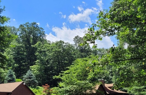 Birdsboro House | Secluded Log home in a very peaceful setting.