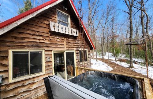 Paris House | Secluded Luxury Cabin with Hot Tub on 10 Private Acres near Trails in Reed City, Michigan