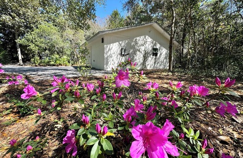 Mary Esther Cottage | Secluded Slice Of Paradise: The Sonder Suite 🌴🏝