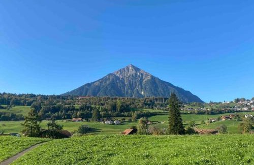 Faulensee Apartment | See und Berge Garden