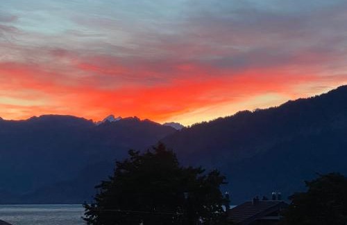 Faulensee Apartment | See und Berge Garden