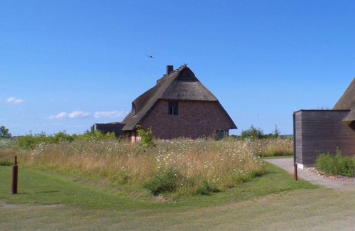 Nieby House | Seegras, das Reetdach Doppelhaus für 4-5 Personen mit Schönem Birkblick