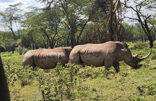 Maasai Mara House | Semadep Village Guest House