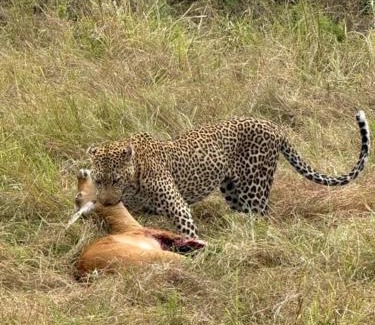 Maasai Mara House | Semadep Village Guest House