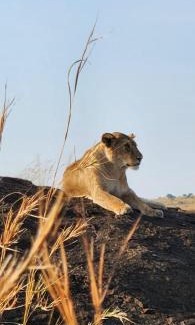 Maasai Mara House | Semadep Village Guest House