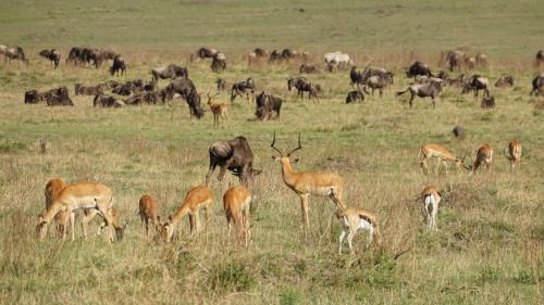 Maasai Mara House | Semadep Village Guest House