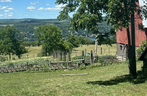 Montour Falls Apartment | Seneca Skyline, secluded 1br APT, newly renovated