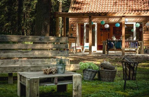 Krachtighuizen Hotel | Serene Forest Hotel Stay in the Heart of Veluwe | Nature Trails & Fresh Air