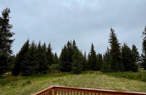 Anchor Point House | SHADY ACRES, NEW! ANCHOR POINT, PET FRIENDLY, NEAR CHARTER FISHERIES, GOLFING