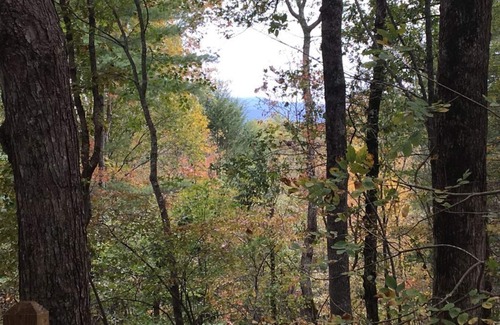 Ellijay Cabin | Shady Hollow-Romantic Couple's Getaway with Hot Tub and High Speed Internet!