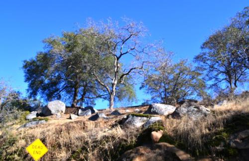 Three Rivers House | Shady Knoll