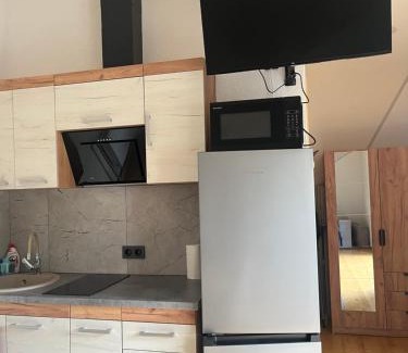 Liepaja Apartment | Shark