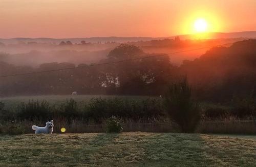 Newbridge House | Shepherds hut-hot tub-dog friendly -views