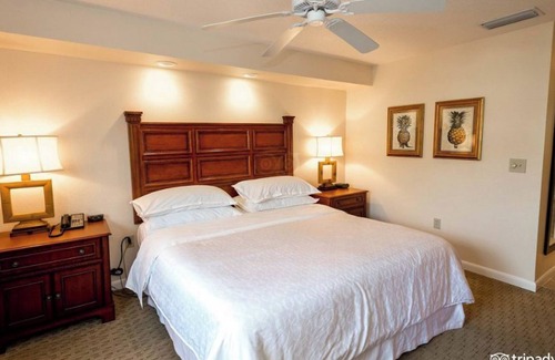 Florida Central Atlantic Coast Villa | Sheraton Vistana Resort Lake Villas