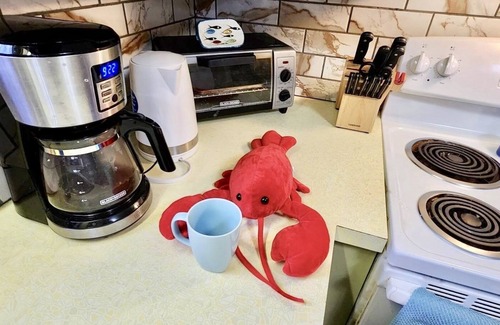 Marstons Mills House | Shining Sea Oasis