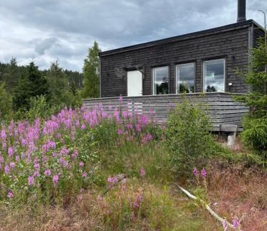 Arjang House | Sillebotten västra torget