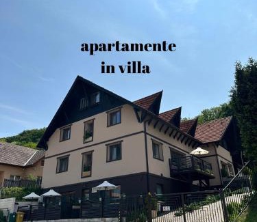 Sighisoara Apartment | Silvan Villa - Apart