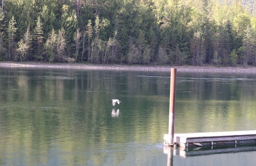 Balfour House | Site C Nelson RV Park and Marina
