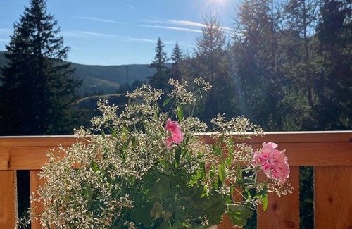 Lachtal House | Skihütte in Schönberg-Lachtal with Private Parking and Mountain View