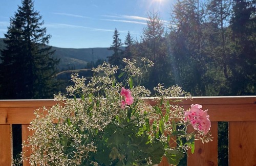 Lachtal House | Skihütte in Schönberg-Lachtal with Private Parking and Mountain View