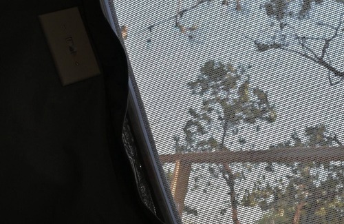 Dunlap Apartment | Sky Pod #2/Tree Tent 2