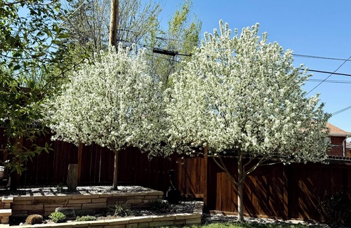 Welby Apartment | Sleek design, elegant touches, unforgettable comfort