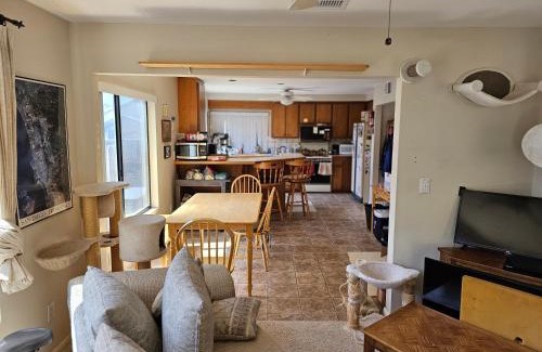 Tierrasanta House | "Sleep Best for Less" At The Cat House - Room 1