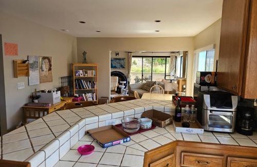 Tierrasanta House | "Sleep Best for Less" At The Cat House - Room 1