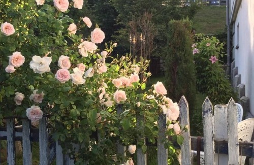 Gais Apartment | Small, cool loft in the foothills of the Alps